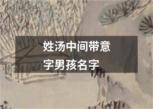 姓汤中间带意字男孩名字