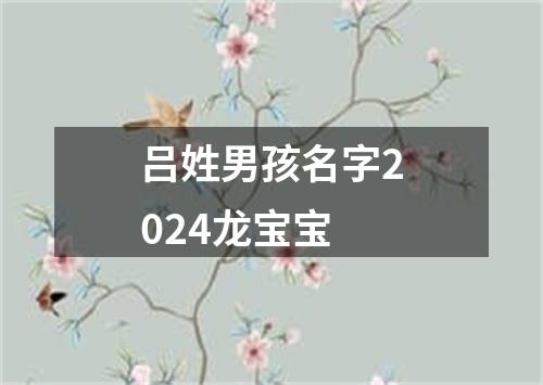 吕姓男孩名字2024龙宝宝