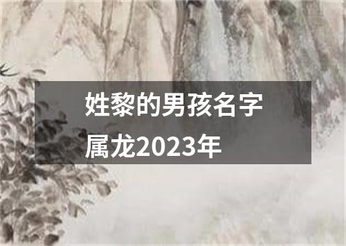 姓黎的男孩名字属龙2023年