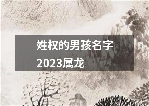 姓权的男孩名字2023属龙