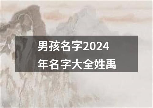 男孩名字2024年名字大全姓禹