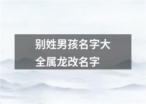 别姓男孩名字大全属龙改名字