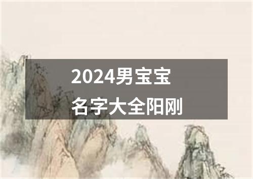 2024男宝宝名字大全阳刚