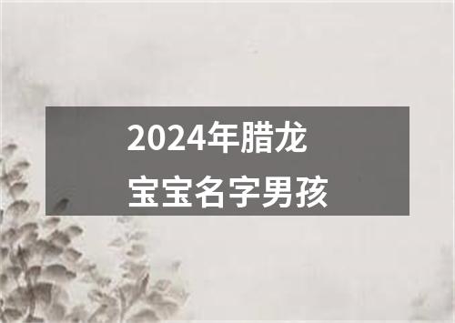 2024年腊龙宝宝名字男孩