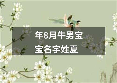 年8月牛男宝宝名字姓夏