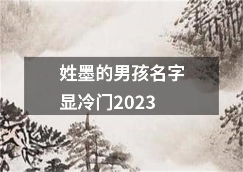 姓墨的男孩名字显冷门2023