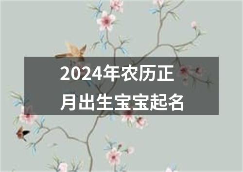 2024年农历正月出生宝宝起名