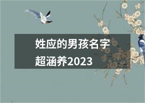 姓应的男孩名字超涵养2023