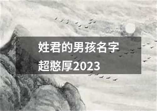 姓君的男孩名字超憨厚2023