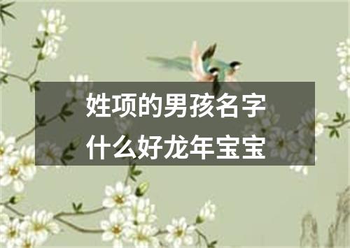 姓项的男孩名字什么好龙年宝宝