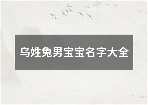 乌姓兔男宝宝名字大全