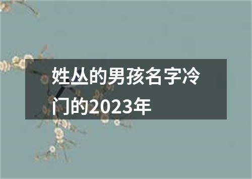 姓丛的男孩名字冷门的2023年