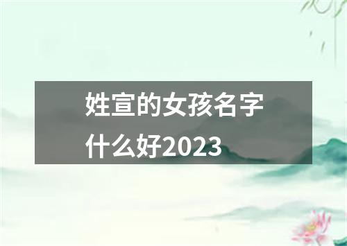 姓宣的女孩名字什么好2023