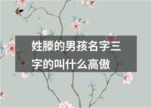 姓滕的男孩名字三字的叫什么高傲