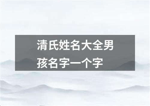 清氏姓名大全男孩名字一个字