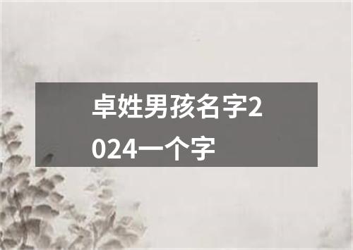 卓姓男孩名字2024一个字