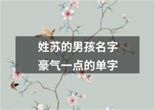 姓苏的男孩名字豪气一点的单字