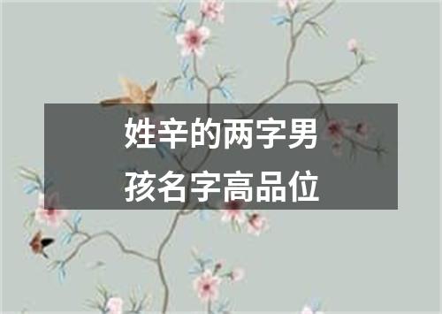 姓辛的两字男孩名字高品位