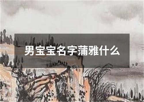 男宝宝名字蒲雅什么