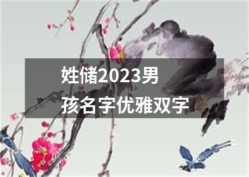 姓储2023男孩名字优雅双字