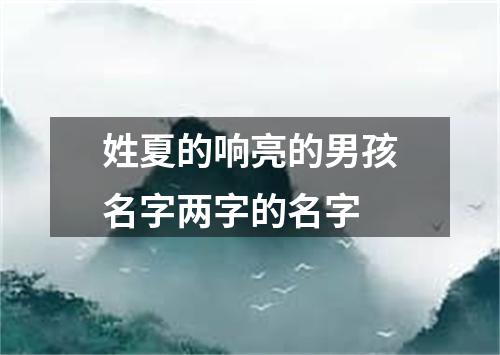 姓夏的响亮的男孩名字两字的名字