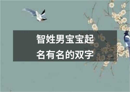 智姓男宝宝起名有名的双字