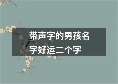 带声字的男孩名字好运二个字