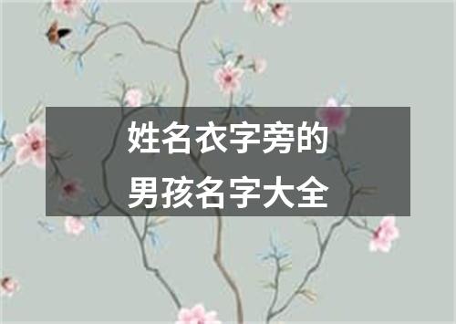 姓名衣字旁的男孩名字大全