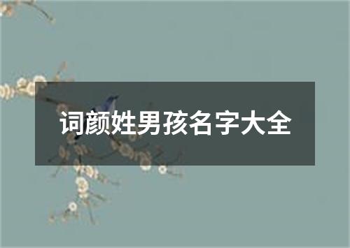 词颜姓男孩名字大全