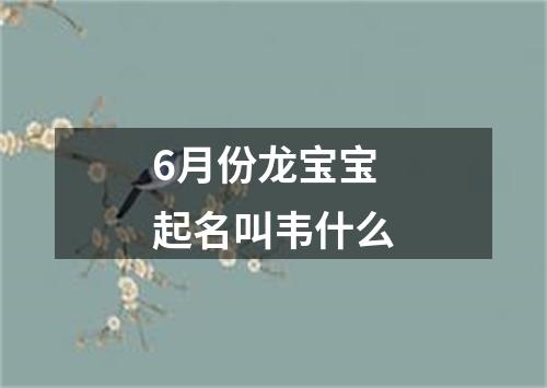 6月份龙宝宝起名叫韦什么