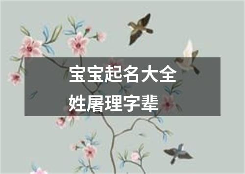 宝宝起名大全姓屠理字辈