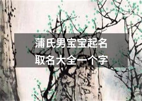 蒲氏男宝宝起名取名大全一个字