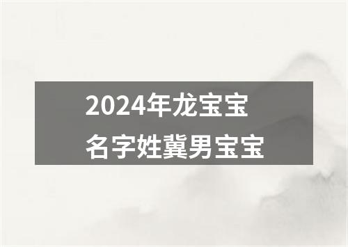 2024年龙宝宝名字姓冀男宝宝