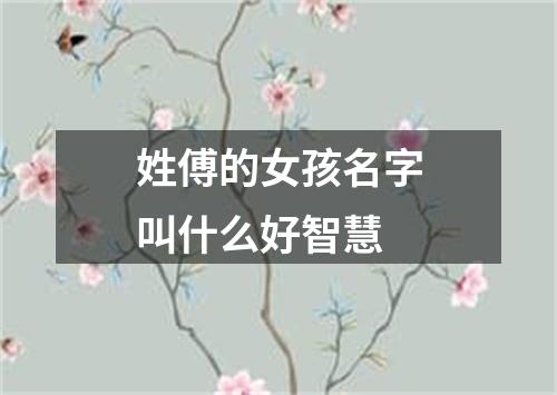 姓傅的女孩名字叫什么好智慧