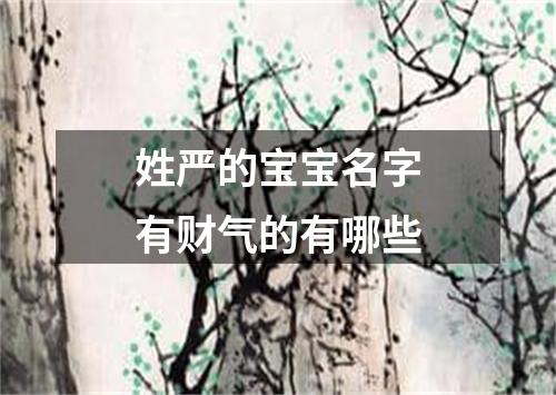 姓严的宝宝名字有财气的有哪些