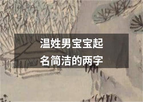 温姓男宝宝起名简洁的两字