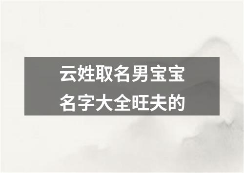 云姓取名男宝宝名字大全旺夫的