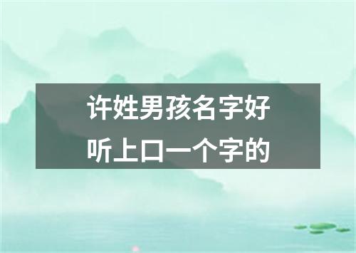 许姓男孩名字好听上口一个字的