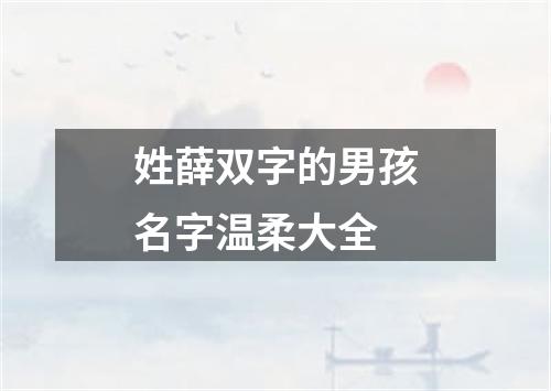 姓薛双字的男孩名字温柔大全