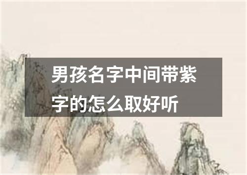 男孩名字中间带紫字的怎么取好听