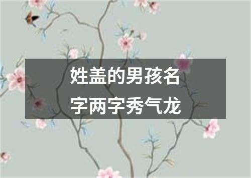 姓盖的男孩名字两字秀气龙