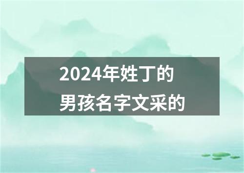 2024年姓丁的男孩名字文采的