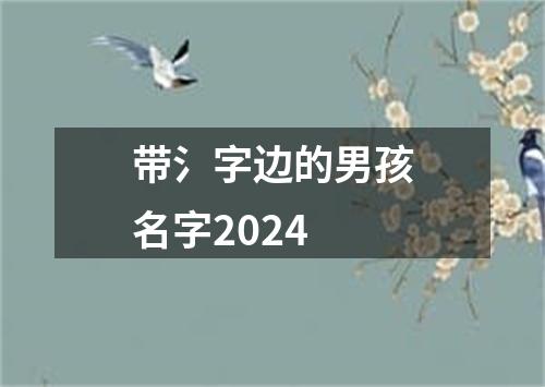 带氵字边的男孩名字2024