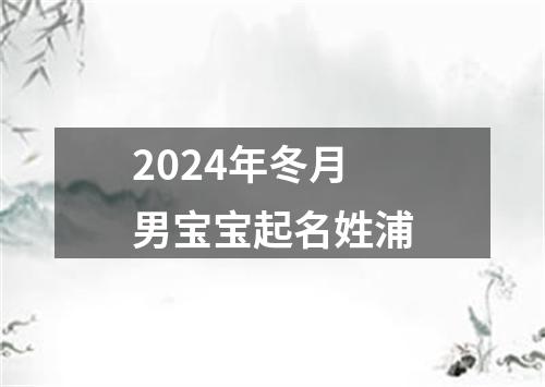 2024年冬月男宝宝起名姓浦