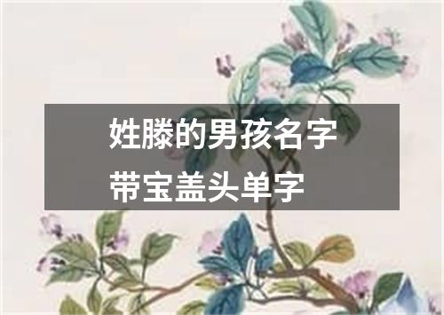 姓滕的男孩名字带宝盖头单字