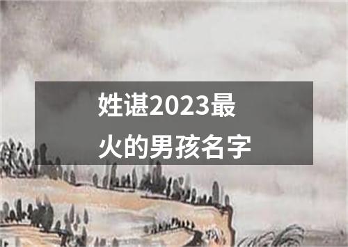 姓谌2023最火的男孩名字