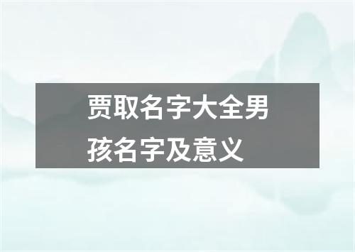 贾取名字大全男孩名字及意义