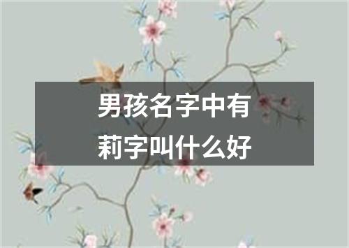 男孩名字中有莉字叫什么好