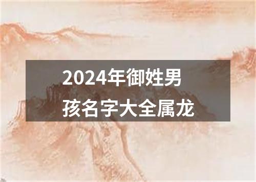 2024年御姓男孩名字大全属龙