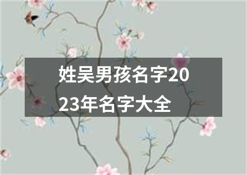 姓吴男孩名字2023年名字大全